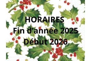 Fin d'année 2025