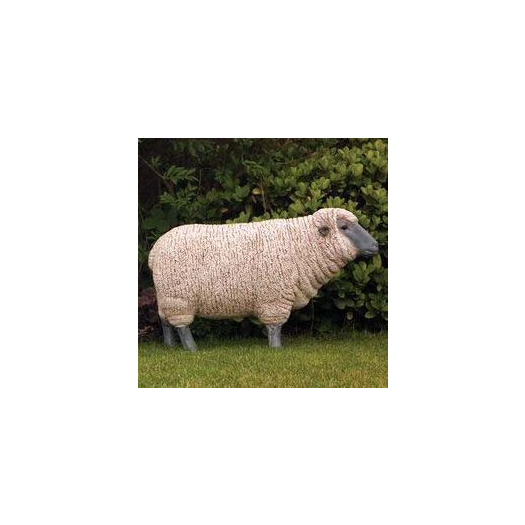 Levensgroot wit schaap