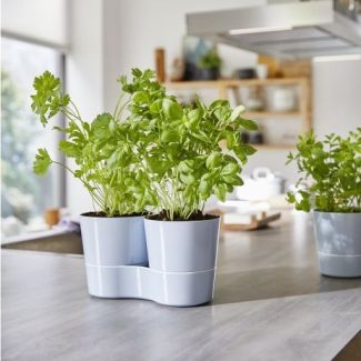HydroHerbs Kruidenpot Twin