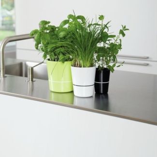 Hydro herbs : pot pour plantes aromatiques