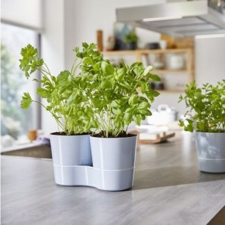 Hydro herbs Twin : pot pour plantes aromatiques