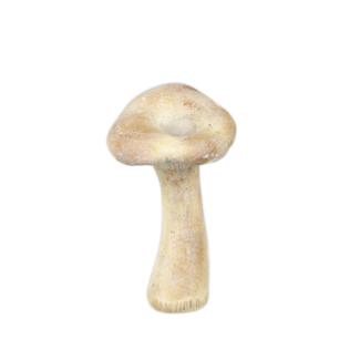 Rasteli Fungi - Petit champignon en ciment - décoration