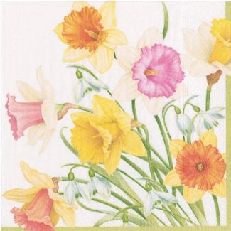Caspari  Daffodil Waltz Serviettes de table- 20pièces