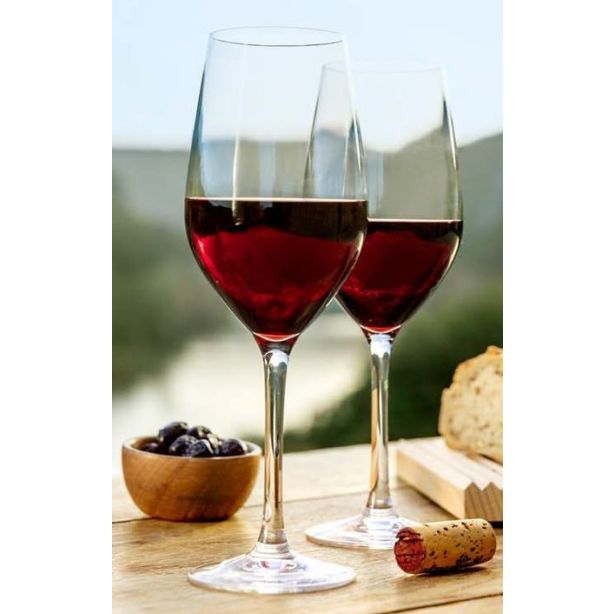 Atelier du Vin rode wijnglas 2 stuks