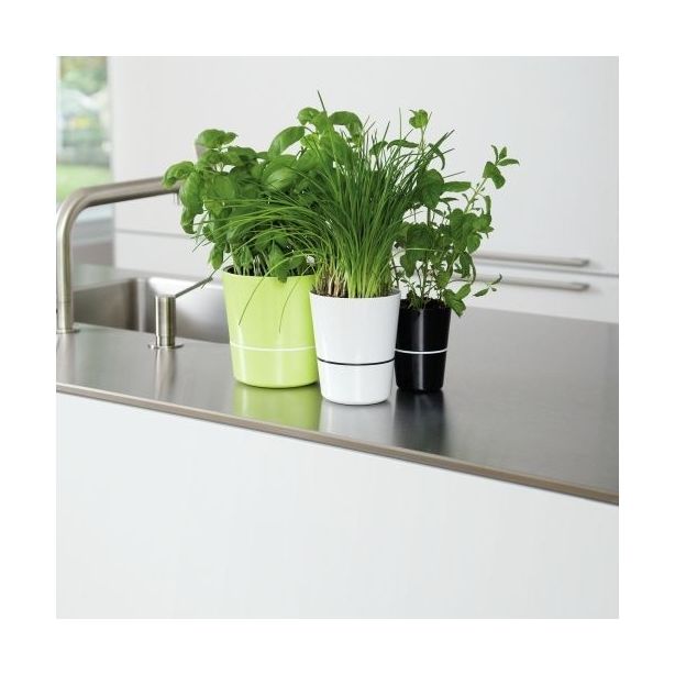 Hydro herbs : pot pour plantes aromatiques