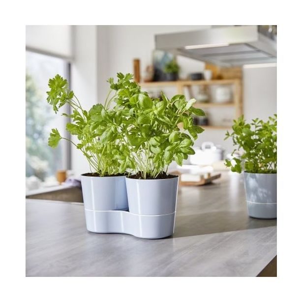Hydro herbs Twin : pot pour plantes aromatiques