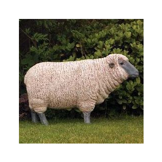 Levensgroot wit schaap