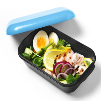 Lunchbox Frozzypack 20X13X8CM