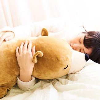 NEMU NEMU l'ours brun