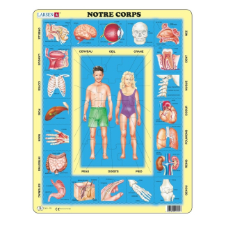 Puzzle Mon corps 35PCS