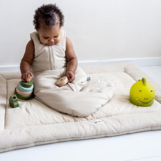 Trixie veilleuse (différents motifs)