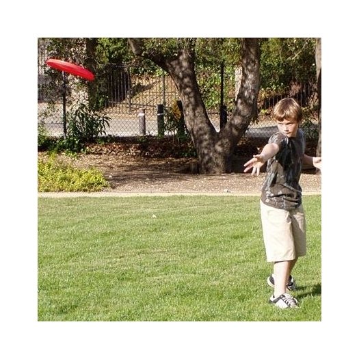 AEROBIE Squidgie Frisbee