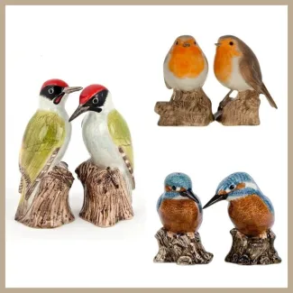 Image produit représentant les poivre et sel oiseaux